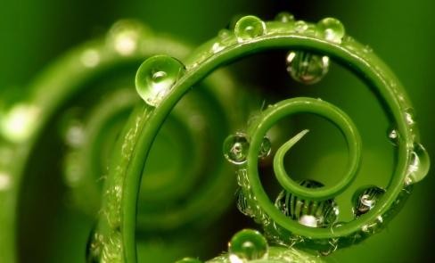 Green Spiral Plumbing Pic 1