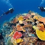 Cairns Lifestyle Pic 1 - Great Barrier Reef