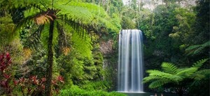 Cairns Lifestyle Pic 2 - Waterfall