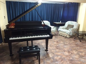 Grant Arnold - Piano and Voice Lessons Pic 2 - The music studio