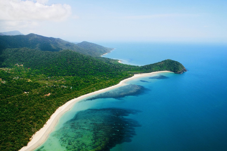 Daintree Wonder Tours Pic 1 - cape tribulation