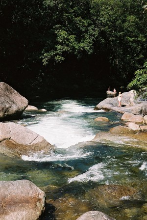 Daintree Wonder Tours Pic 2 - rainforest swim