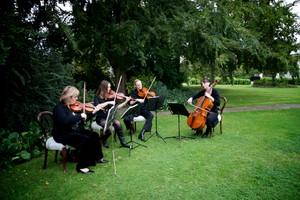 Four Seasons String Quartet Pic 2 - Garden Setting