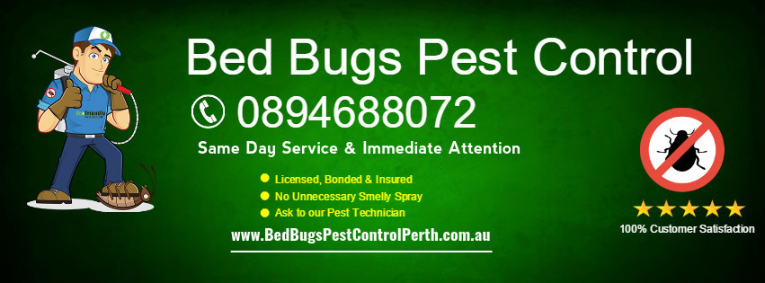 Bed Bugs Pest Control Pic 1