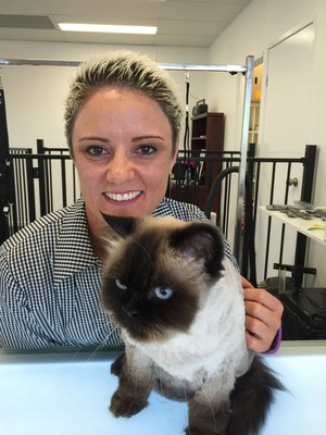 Mobile Dog Grooming North Brisbane Mobile Dog Grooming North Brisbane