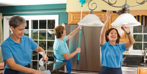 In House Solutions Agency Pic 3 - Domestic cleaning services