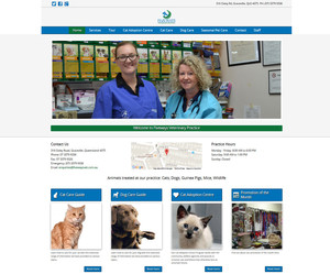 Ctrl F5 Web Services Pic 2 - Fiveways Veterinary Practice Website