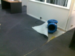 XPERT Cleaning Pic 4 - Carpet drying after a flood