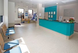 Lake Veterinary Hospitals Pic 1 - Belmont Interior