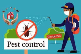 Pest Busters - Pest Control Sydney Pic 1