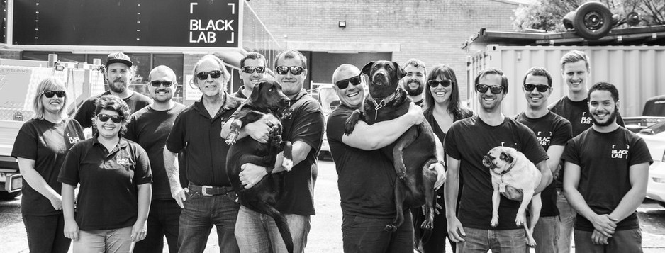 Black Lab Design Pic 1 - Our team is fun and friendly so please dont hesitate to get in touch to discuss your projects We all love to make new friends its not just the dogs