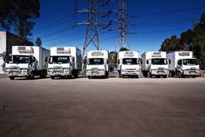 FLASH LINE TRANSPORT Pic 5