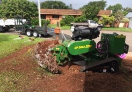 Carlo's Stump Grinding Pic 4