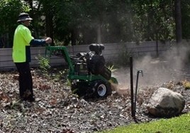 Carlo's Stump Grinding Pic 5