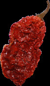 Lady Naga Chilli Products Pic 1 - Whole Dried Bhut Jolokia