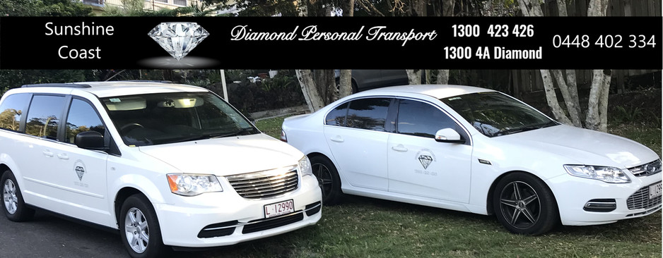 Diamond Personal Transport Pic 1