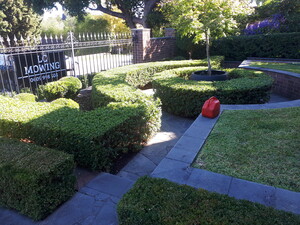 L.C Mowing & Garden Maintenance Pic 5 - LC Mowing Garden Maintenance Hedge trimming shaping in Ivanhoe