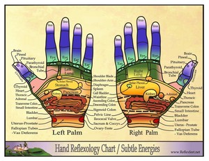 Healing Soles Reflexology Pic 4 - Reflex areas