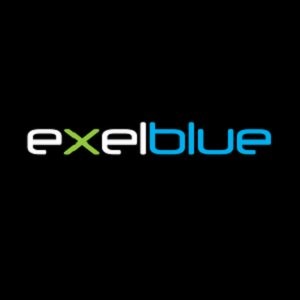 Exelblue Group Pic 1