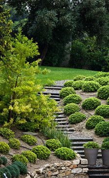 Andersons Professional Landscapes Pic 1 - Landscaping Services