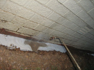 National Pest Solutions Pic 3 - treating soil along an external wall of the building