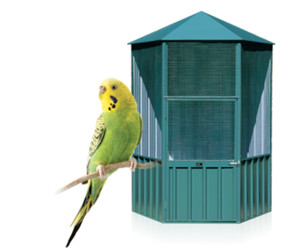 Garden Master Pic 3 - Attractive Aviary