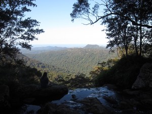 Yoga Meditation Brisbane - Brighton classes Pic 2 - Springbrook Yoga retreats