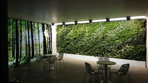 Modula' Greenwalls Pic 2