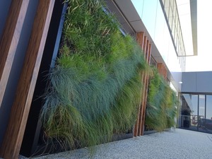 Modula' Greenwalls Pic 4