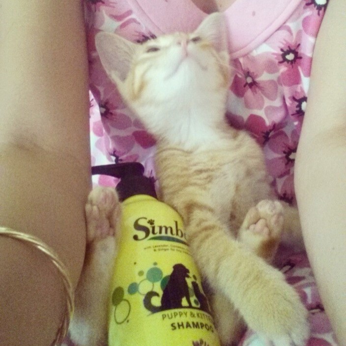 Simbae Australia Pic 1 - Happy Simbae Customer Pet