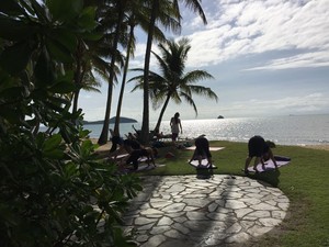 Alive Health & Fitness Pic 3 - Saturday 9am Palm Cove Beach Yoga