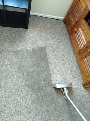 Woolgoolga Carpet Cleaning Pic 3