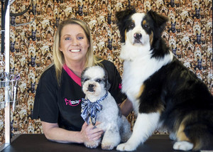 Urban Paws Dog Grooming Pic 2