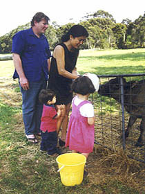 Misty Valley Country Cottages Pic 1 - Feed the animals