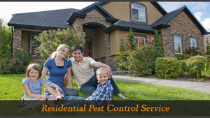 Zap Pest Services Pic 3