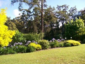 AEB Property Services Pic 2 - AEB Property Services Lawn Mowing Landscaping Gardening