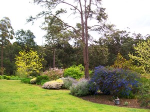 AEB Property Services Pic 3 - AEB Property Services Lawn Mowing Trees Pruning Trimming Hedging Gardening