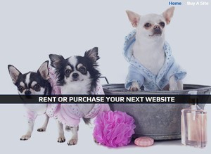 Pet Biz Websites Pic 2