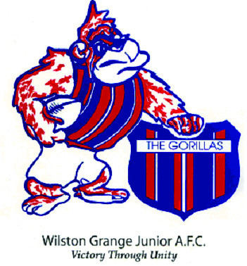 Wilston Grange Junior AFC Pic 1