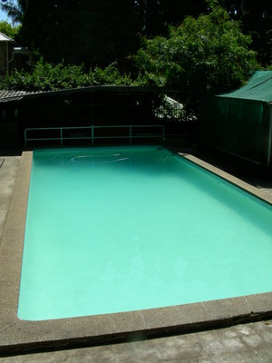 The Tranquil Garden And Pool Pic 5 - green pool recovery after