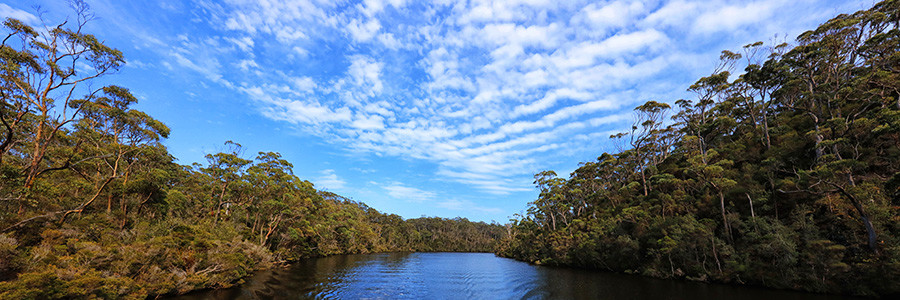 A R Reflections  River Cruises ('M V Reflections') Pic 1 - Beautiful Arthur River