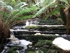 A R Reflections  River Cruises ('M V Reflections') Pic 3 - Warra Falls