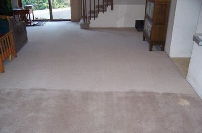 Carpet Cleaning Brunswick East Pic 1