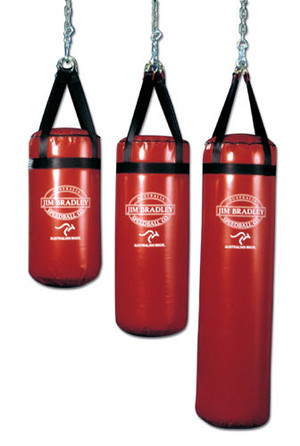 Jim Bradley Speedball Pic 3 - Domestic Punching Bag