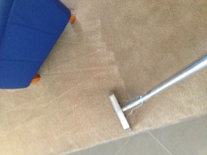 Xtream Carpet & Bond Cleaning Pic 3