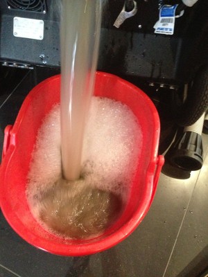 Xtream Carpet & Bond Cleaning Pic 4 - water from a carpet clean