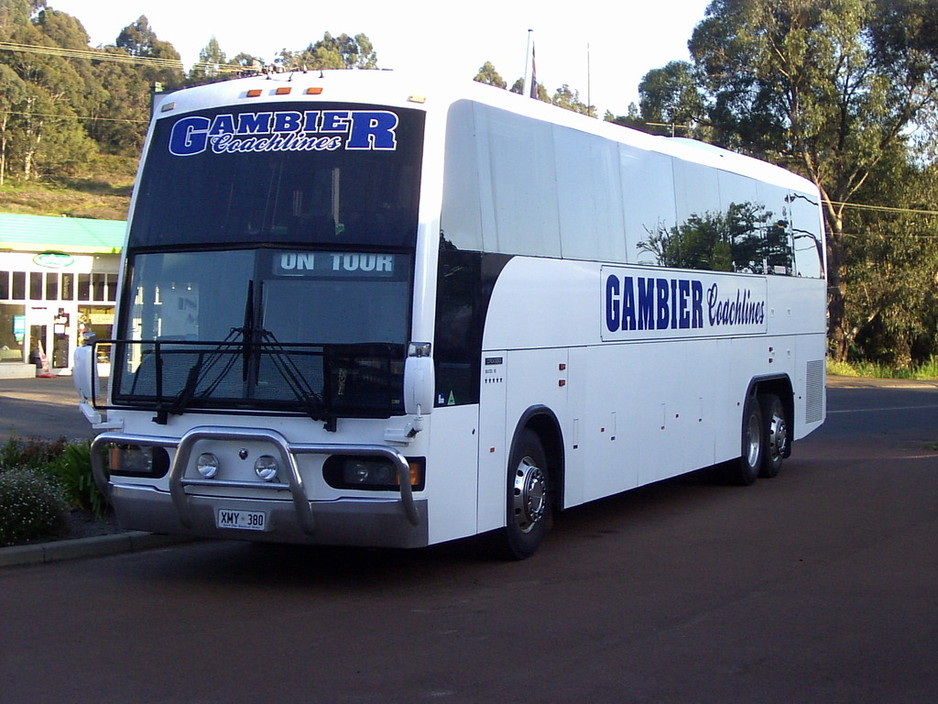 Gambier Coachlines Pic 1