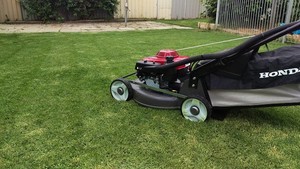 Colonels Lawn Mowing Pic 2 - Perth Lawn Mowing