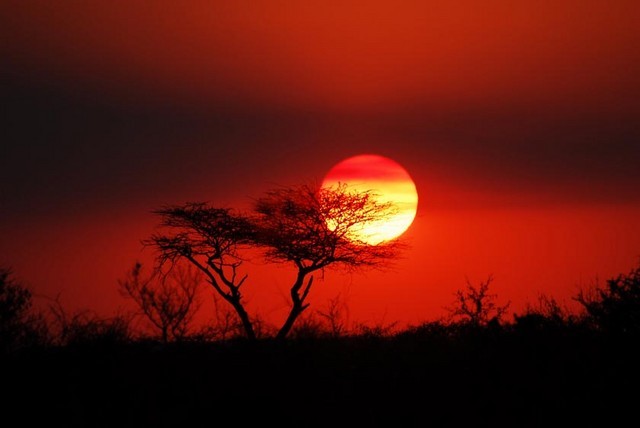 SPECIALISED SOUTH AFRICA Pic 1 - Namibian sunset