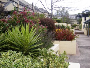 Helen Young Horticulturist Pic 5 - winner plantscape design 2008 aildm landscape design awards